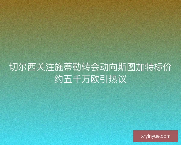 切尔西关注施蒂勒转会动向斯图加特标价约五千万欧引热议